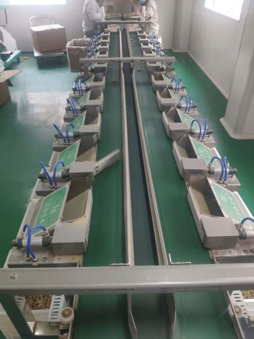 精挑出精品，细选出细致——安大叔西洋参的精选工艺流程